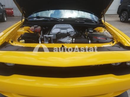 2017 Dodge #7