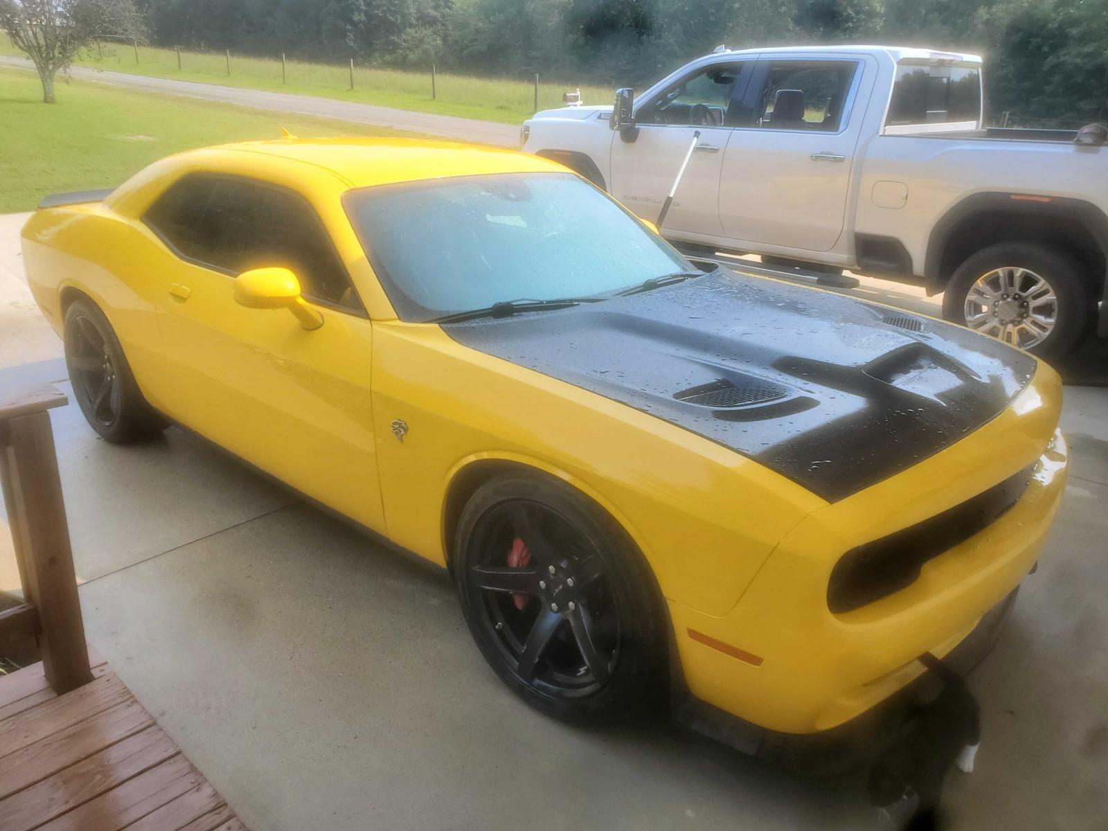 2017 Dodge #1