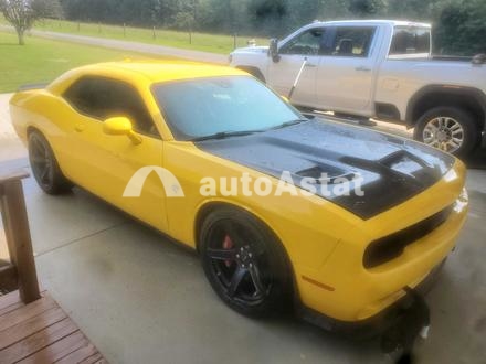 2017 Dodge #1