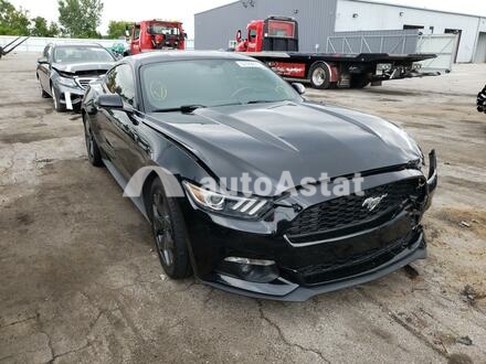 2015 Ford #1