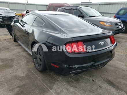 2015 Ford #3