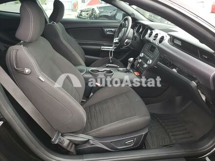 2015 Ford #5