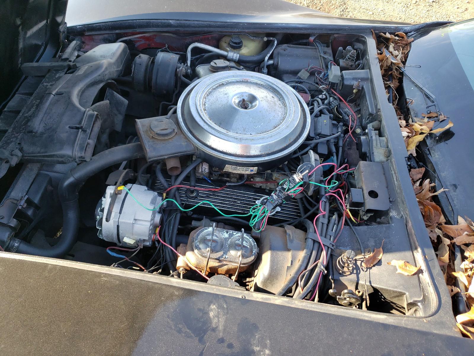 1981 Chevrolet #7