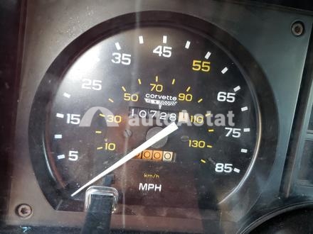 1981 Chevrolet #8
