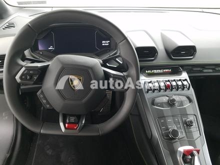2019 Lamborghini #6