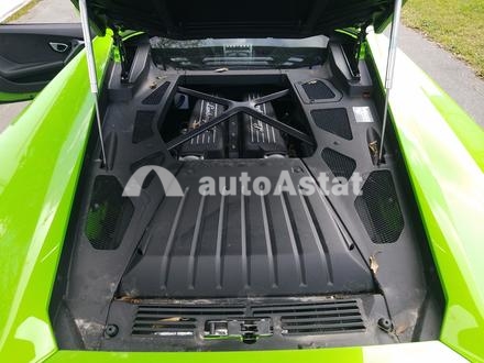 2019 Lamborghini #7