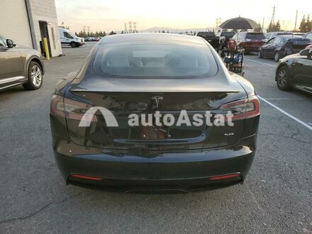 2021 Tesla #6