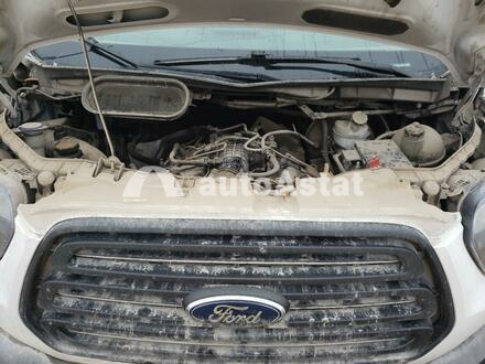 2019 Ford #7