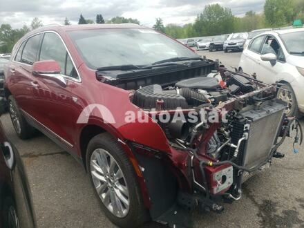 2019 Cadillac #1