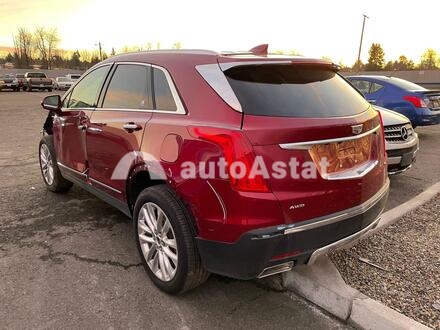 2019 Cadillac #3