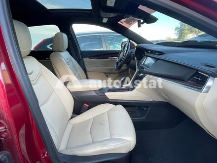 2019 Cadillac #5