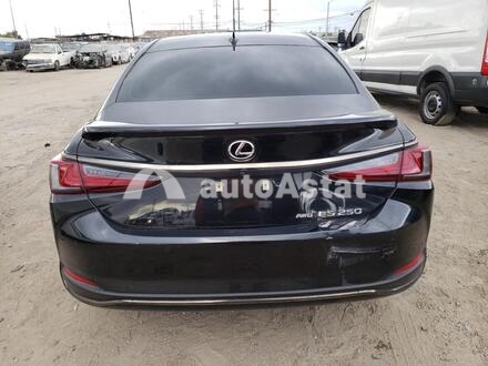 2022 Lexus #6