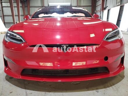 2021 Tesla #4