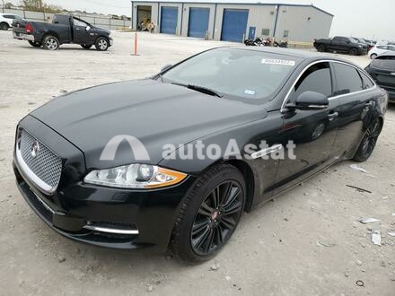 2014 Jaguar #1