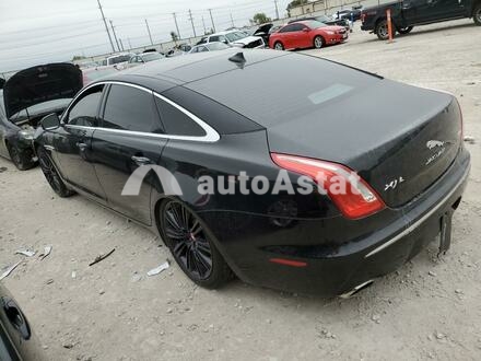 2014 Jaguar #2