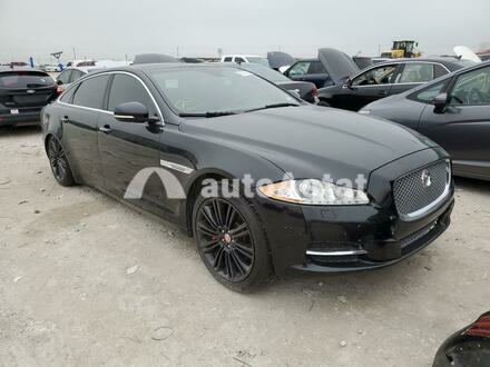 2014 Jaguar #4