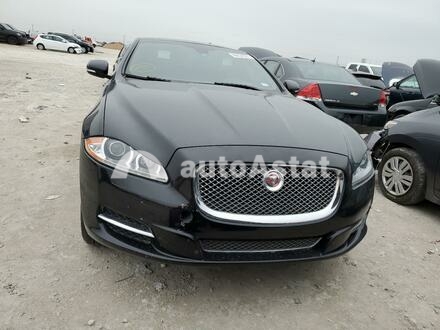 2014 Jaguar #5