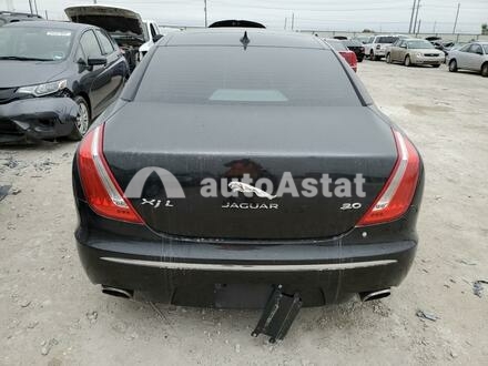 2014 Jaguar #6