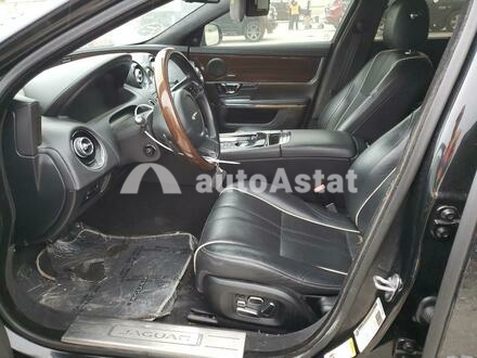 2014 Jaguar #7