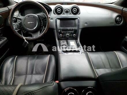 2014 Jaguar #8