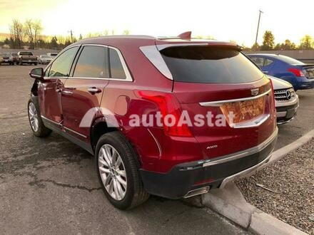 2019 Cadillac #3