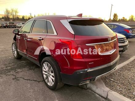 2019 Cadillac #3
