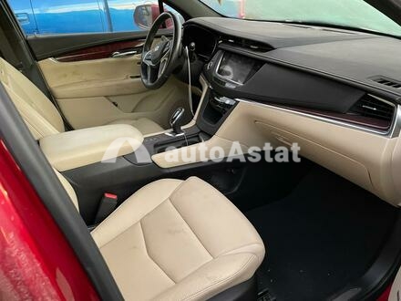 2019 Cadillac #5