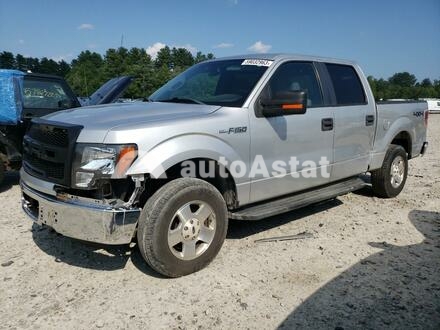 2011 Ford #1