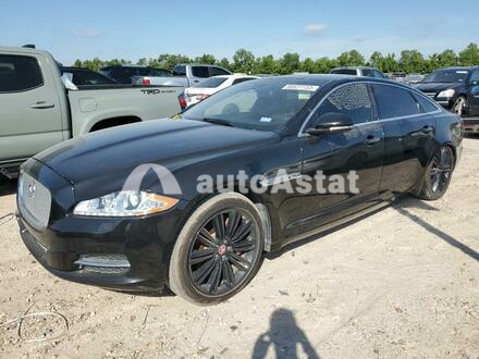 2014 Jaguar #1