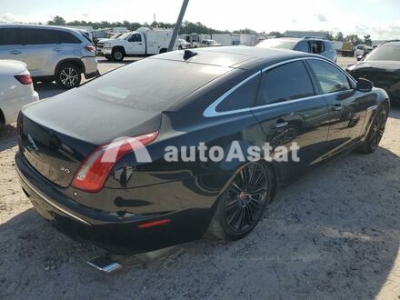 2014 Jaguar #3