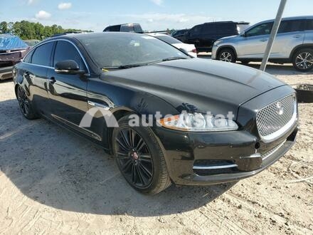 2014 Jaguar #4