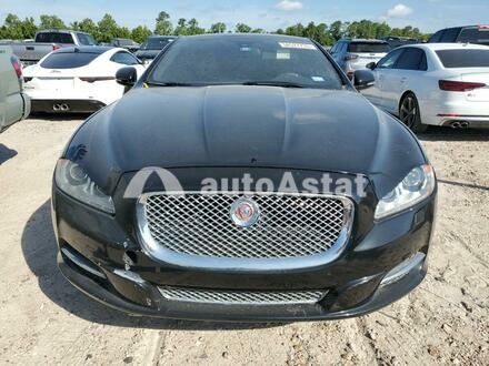 2014 Jaguar #5