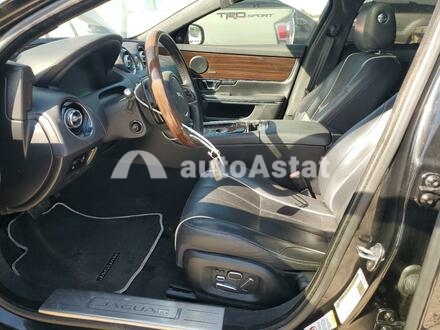 2014 Jaguar #7