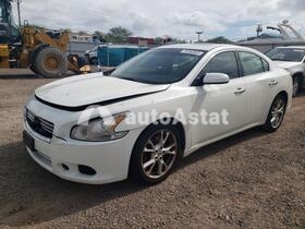 Nissan Maxima