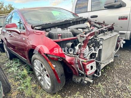 2019 Cadillac #1