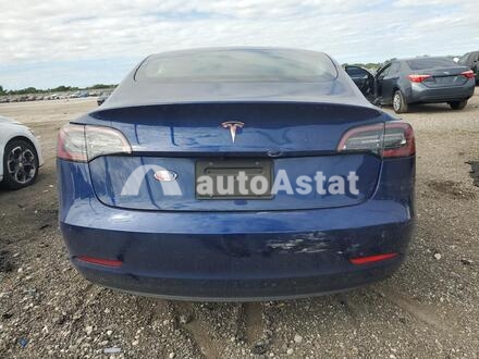 2020 Tesla #6