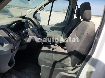 2019 Ford #7