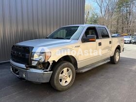 2011 Ford F-150 #2