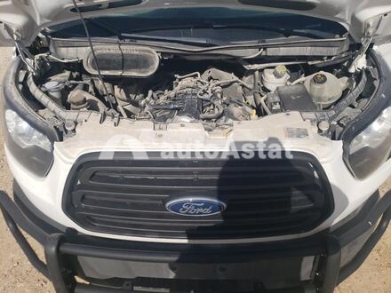 2019 Ford #12