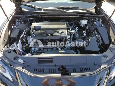 2022 Lexus #11