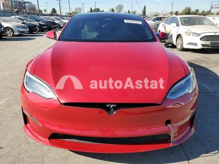 2021 Tesla #5