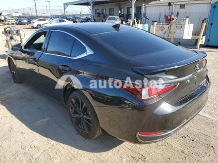 2022 Lexus #2