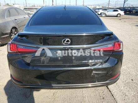 2022 Lexus #6