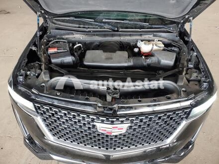 2022 Cadillac #12