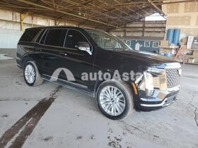 2025 Cadillac Escalade #4