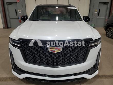 2021 Cadillac #5