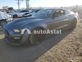Ford Shelby GT500