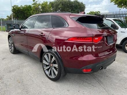 2017 Jaguar #2