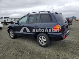 2004 Hyundai Santa Fe #2