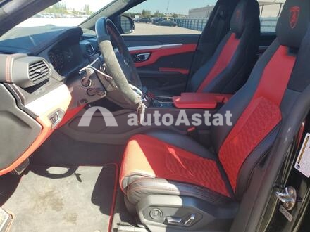 2019 Lamborghini #7